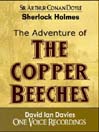 The Adventure of the Copper Beeches
